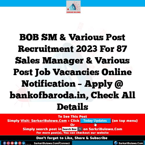 BOB SM & Various Post Recruitment 2023 For 87 Sales Manager & Various Post Job Vacancies Online Notification – Apply @ bankofbaroda.in, Check All Details